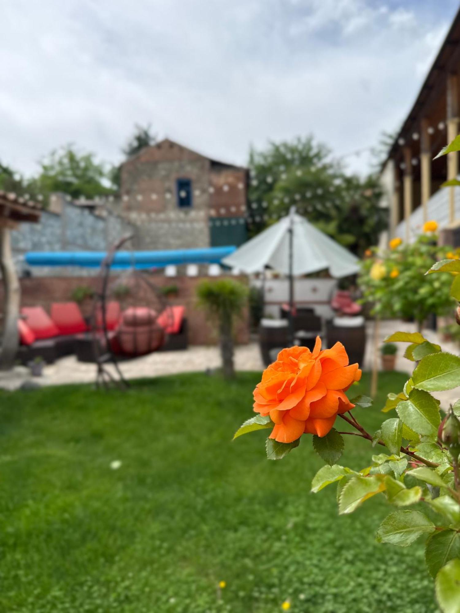 Boutique Hotel Talaveri In 泰拉维 外观 照片